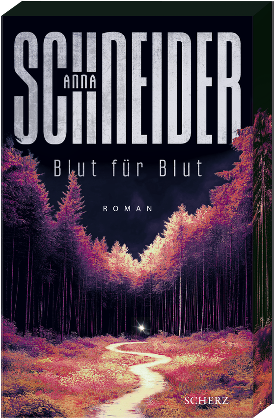 Buch zu DIE VERGANGENHEIT HOLT SIE WIEDER EIN